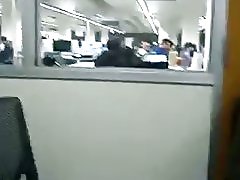Loyalsock द्वारा पुस्तकालय छूत