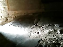 फ़्लैश लड़कियों संग्रहालय