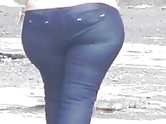 परिपक्व गधा (संकलन)