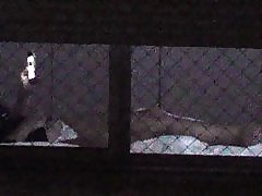 1000 की खिड़की दृश्यरतिक 64