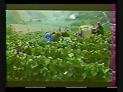 फ्रेंच क्लासिक: Sabine महिलाओं (1976) का अपहरण