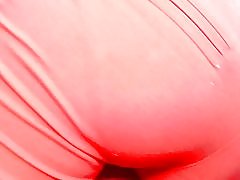 एक rancho शॉर्ट्स के शिष्टाचार