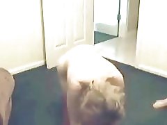 छात्र भाड़ में जाओ