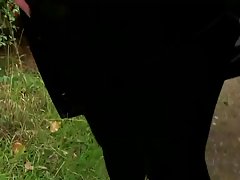 ब्रिटिश sluts dogging 2 - तमारा अनुग्रह प्यार करता हूँ