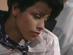 बच्चे बिल्ली-s (1995)